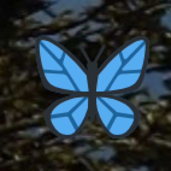 Rock Climbing & Bouldering at Guntupalli Caves