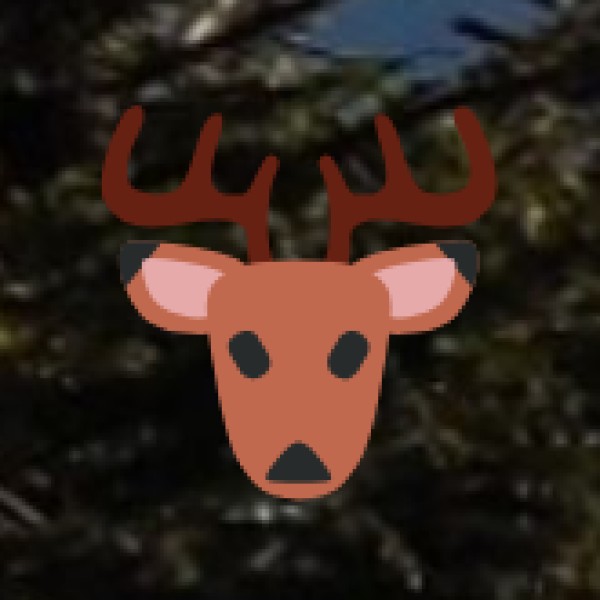 Wildlife Exploration at Eluru Deer Park