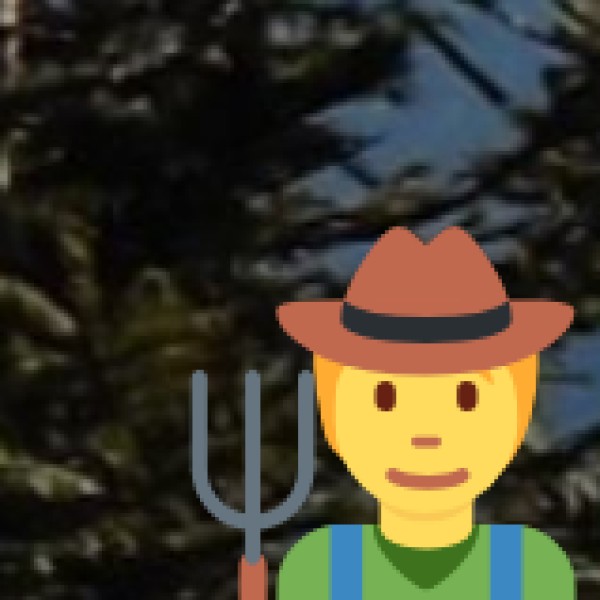 Amaravathi Dam & Crocodile Farm – A Wildlife Adventure