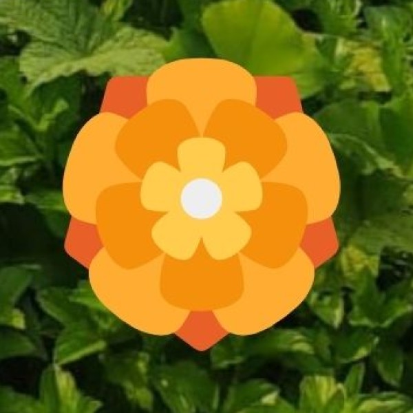 Off-Roading & ATV Rides in Velagaleru Hills