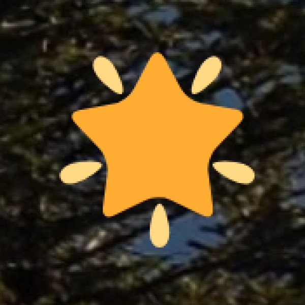 Wildlife & Nature Exploration