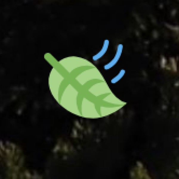 Kolli Hills – A Paradise for Trekkers & Adventure Seekers