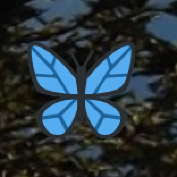 Perumpallam Dam & Eco Park