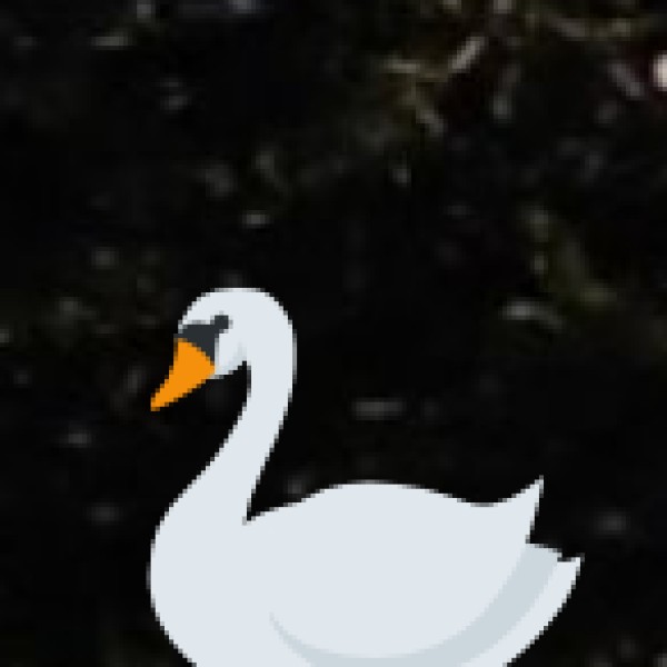 Wildlife & Nature Exploration