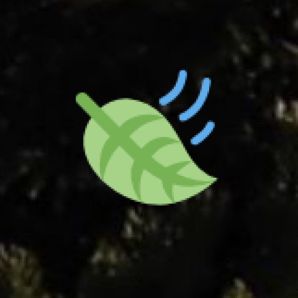 Why Visit Yelagiri & Nearby Nature Spots?