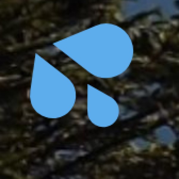 Thalaiyar Falls (Rat Tail Falls) – Tamil Nadu’s Tallest Waterfall