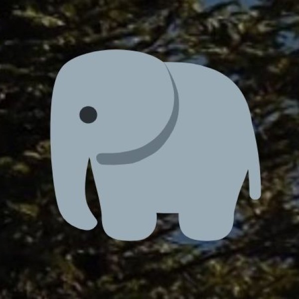 Vellore Elephant Camp – Experience Elephant Interaction