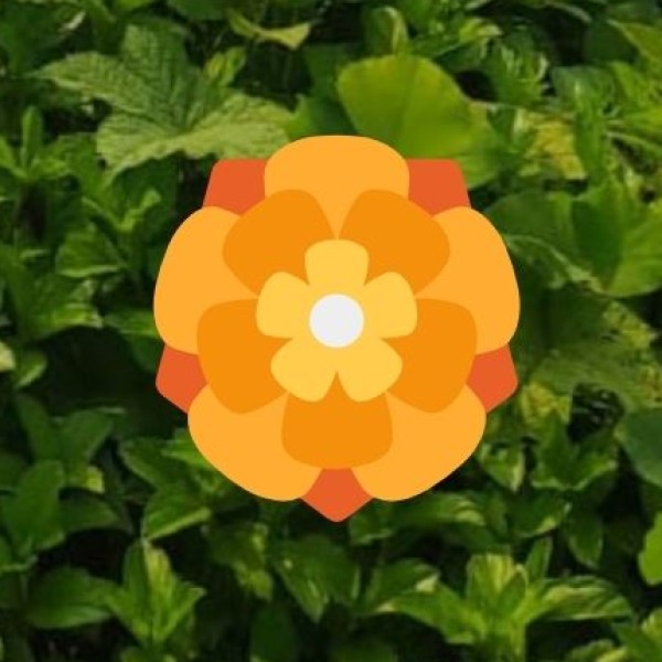 Erode's Organic Farms & Agri-Tourism