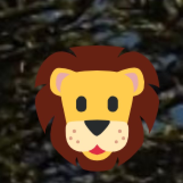 Wildlife Safaris & Bird Watching