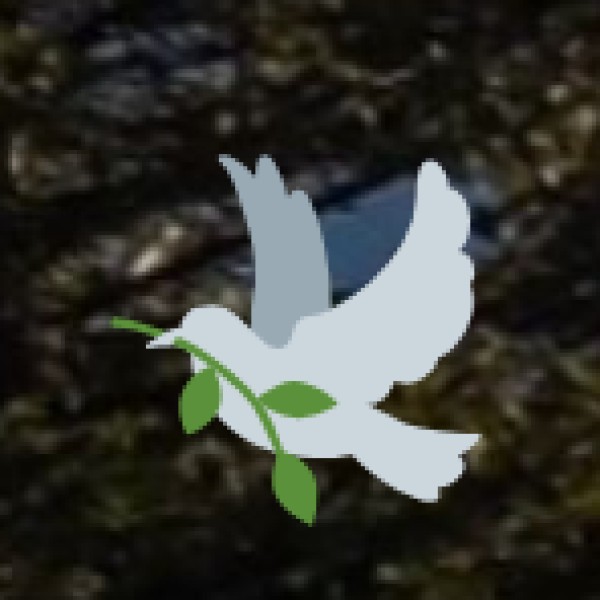 Wildlife & Bird Watching