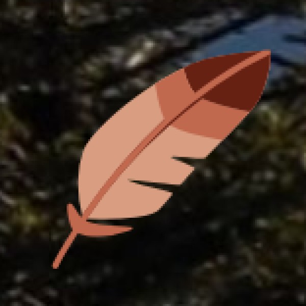 Boating & Bird Watching at Kolleru Lake