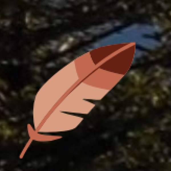 Moyar River & Elephant Corridor