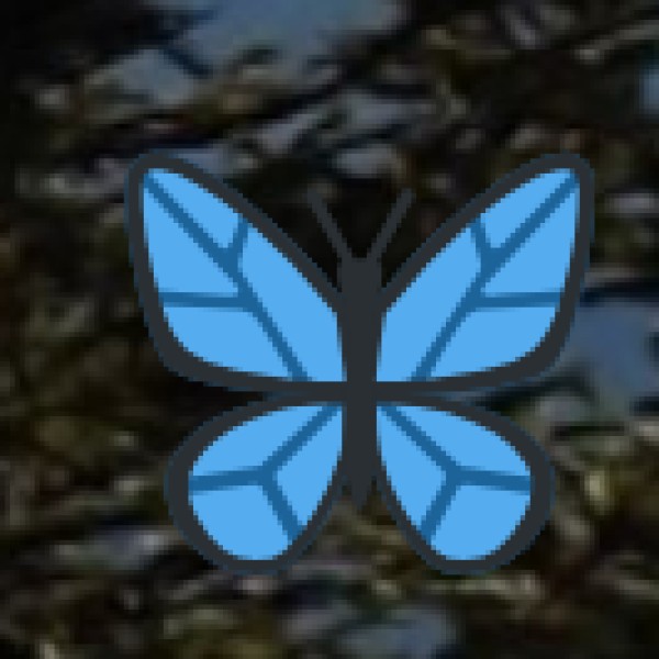 Dandeli Riverside Camping