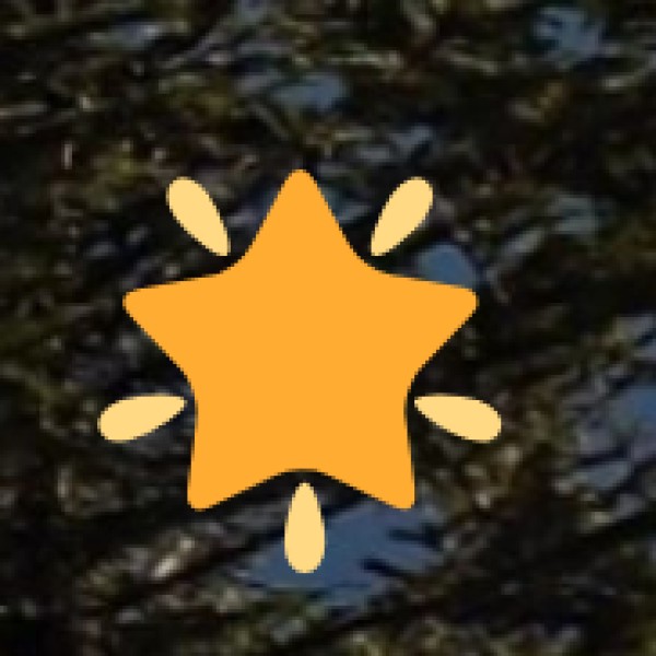 Amirthi Zoological Park & Waterfalls