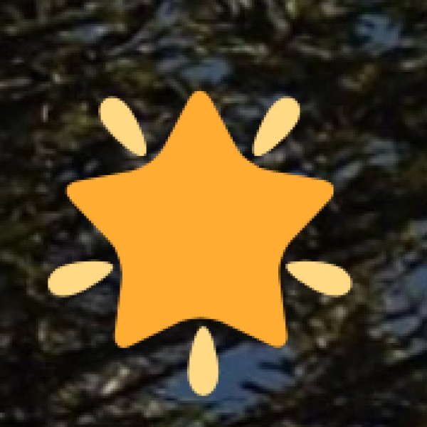 Sakrebailu Elephant Camp (14 km from Shivamogga)