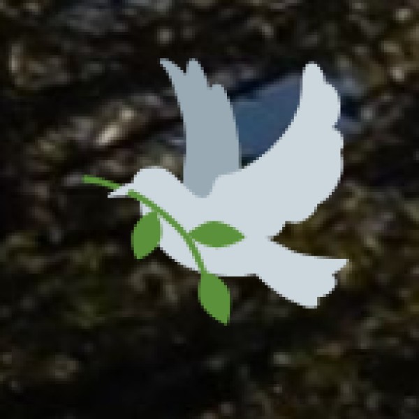 Kiliyur Falls – A Hidden Waterfall Escape