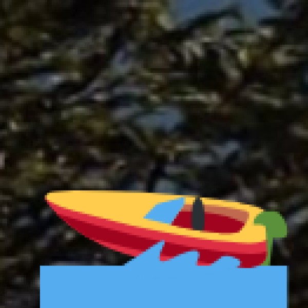 Boating at Brahmam Sagar Reservoir