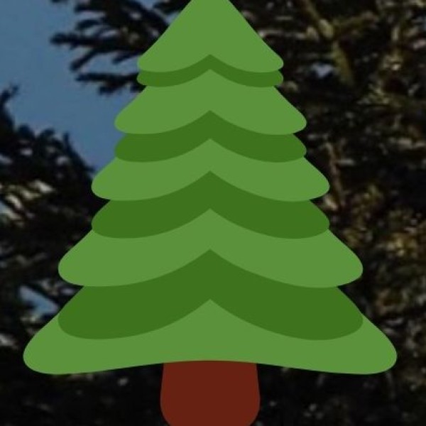 Munnar – A Tea Lover’s Paradise