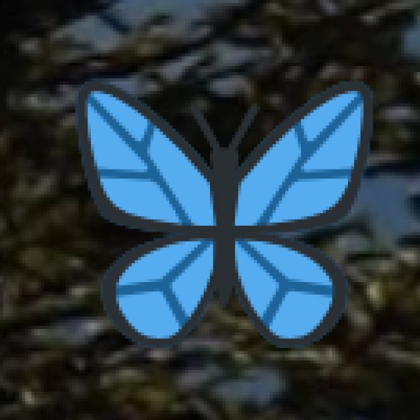 Van Island (Nallathanni Island)