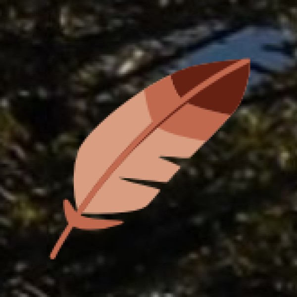 Night Camping at Velikonda Hills