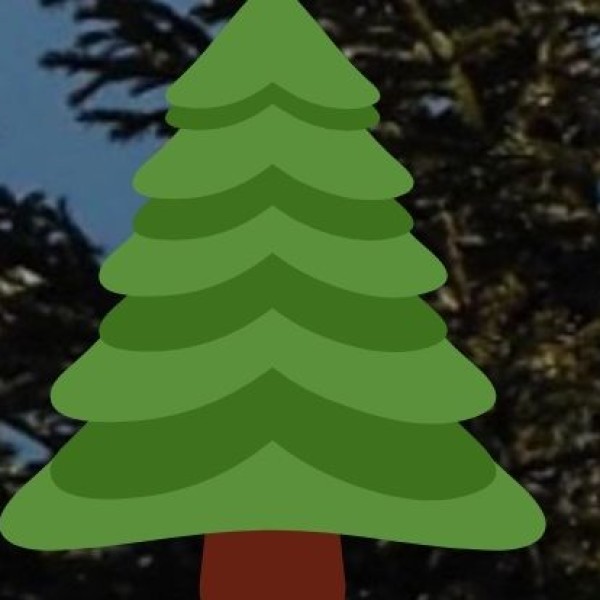 Camping & Stargazing