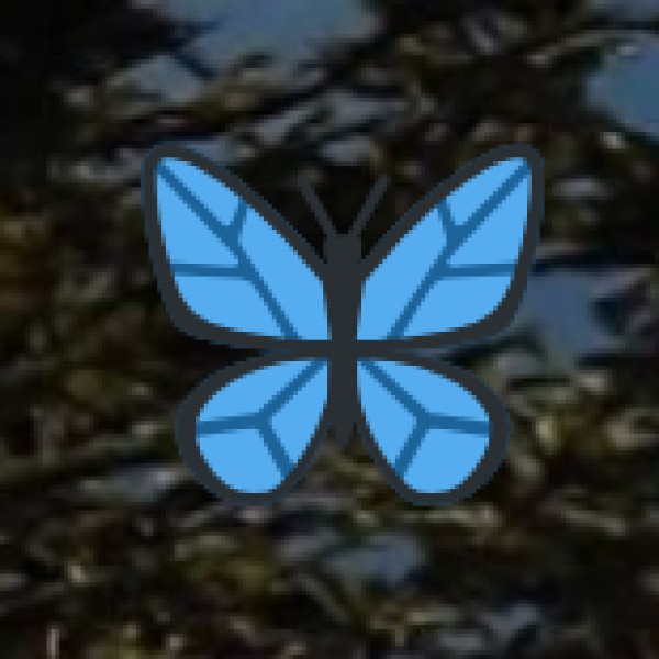 Sivanmalai Hills – A Blend of Spirituality & Nature