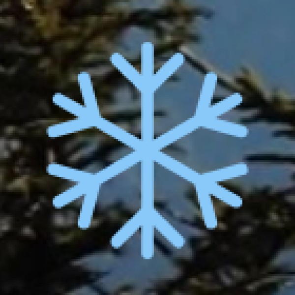 Lankamalleswara Hills Trek (Wildlife & Nature Trek)