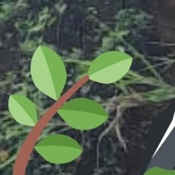 Bungalowpudur Tea Estates