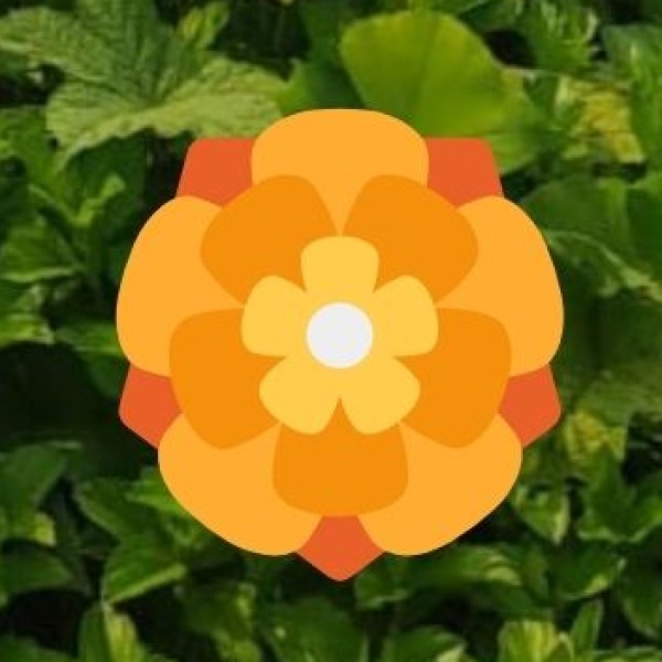 Kelavarapalli Dam – Boating & Nature Walks