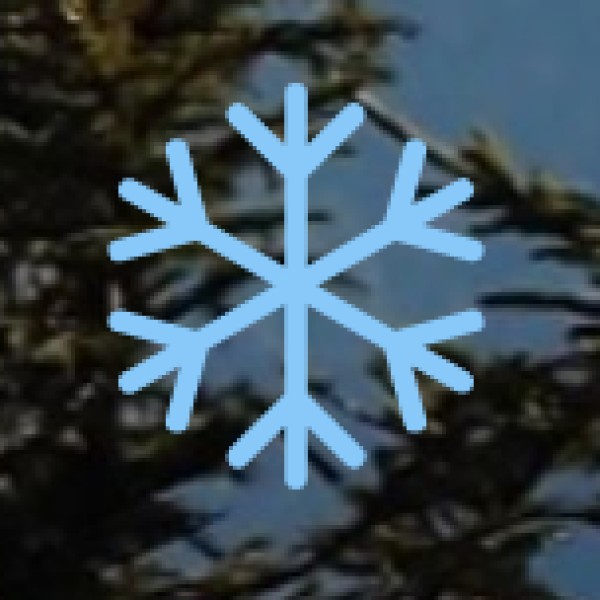 Servarayan Hills – A Sacred & Scenic Retreat