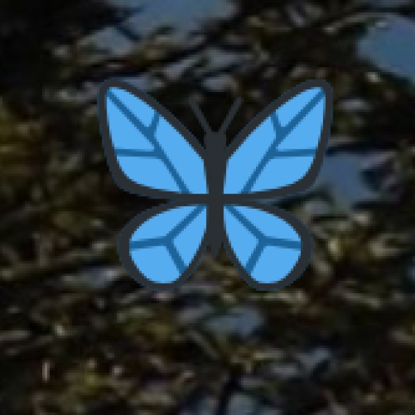 Yercaud – The Jewel of Salem