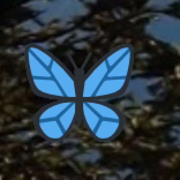 Kundadri Hills Trek (70 km from Shivamogga)