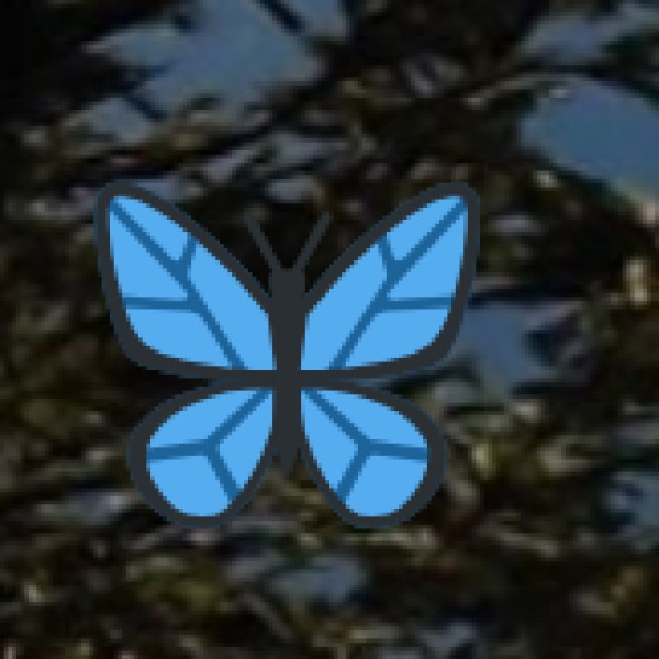 Kallanai Dam (Grand Anicut) – A 2000-Year-Old Engineering Wonder