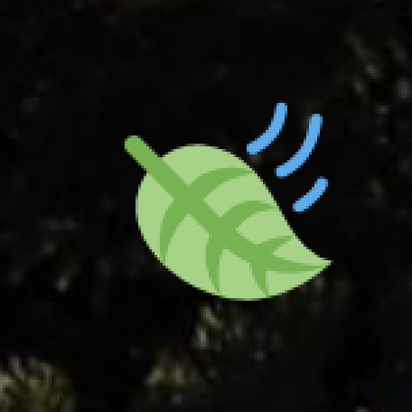 Best Places for Breakfast: