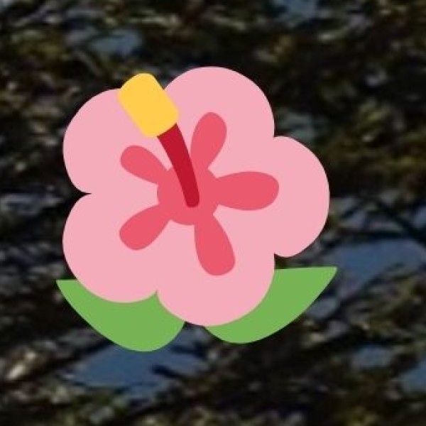 Salt & Salt-Based Products