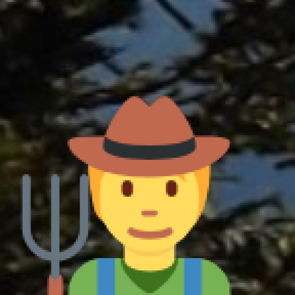 Food & Local Cuisine