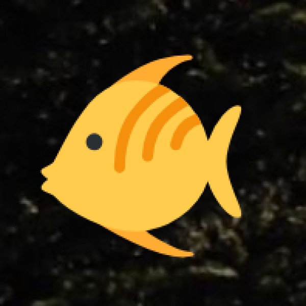 Mangalorean Fish Curry  – Coastal Karnataka Special