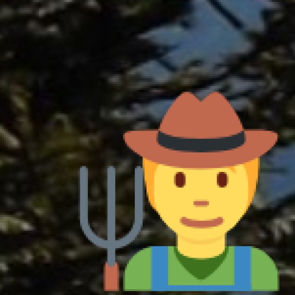 V Grand Family Restaurant (Best for Biryani Lovers)