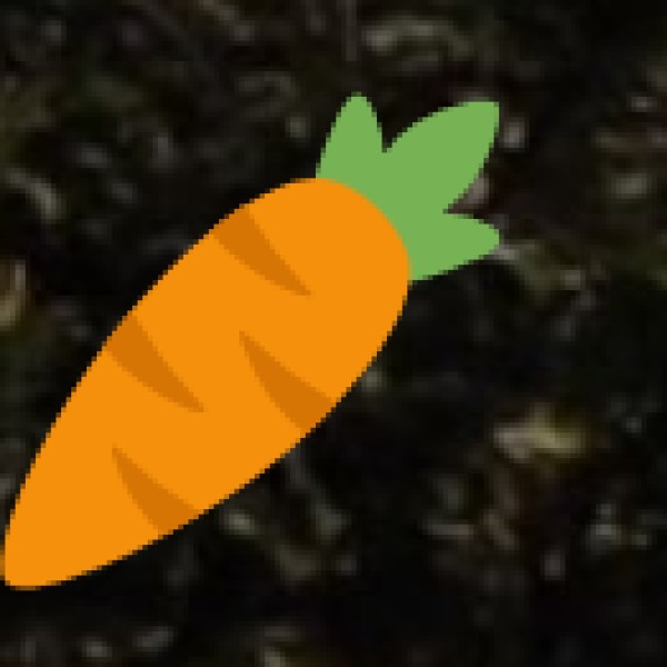 Street Food & Snacks