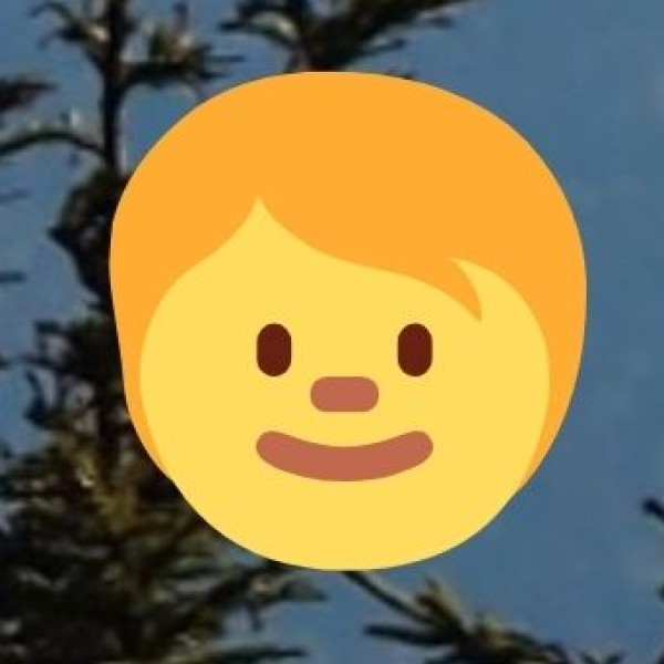 Food Festivals & Culinary Events