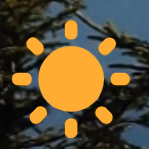 Non-Vegetarian Specialties