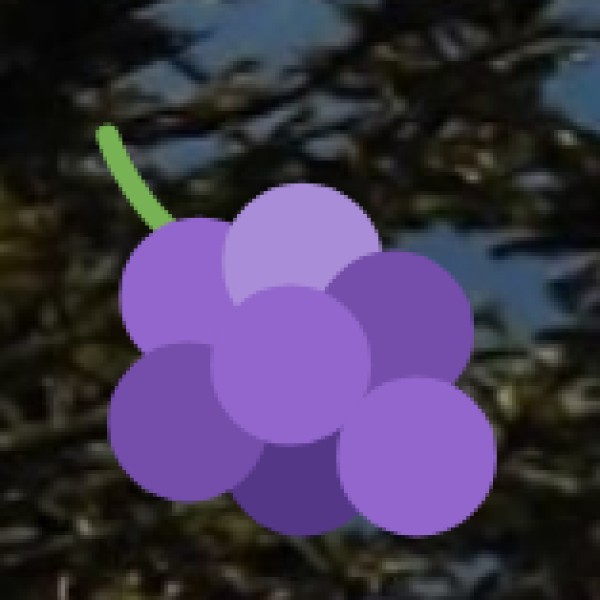 Organic Fruits & Vegetables