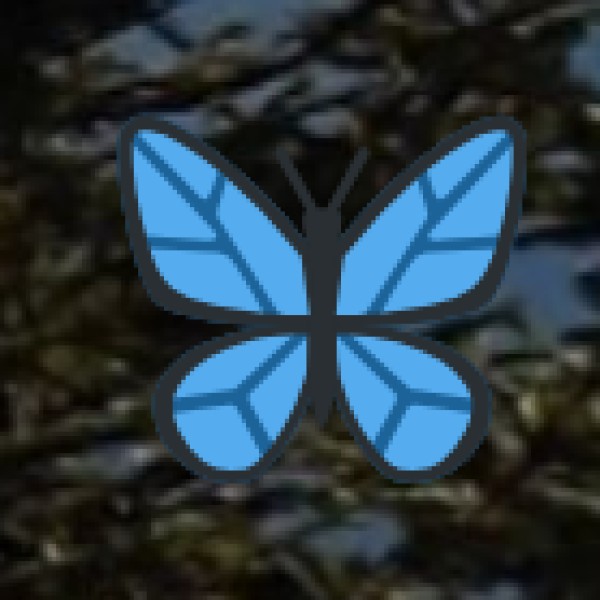 Best Places to Buy Sweets & Pickles