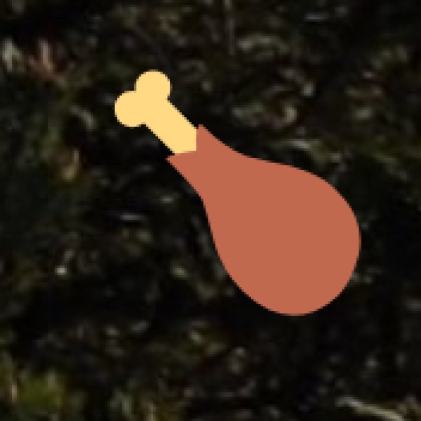 Pathan Biryani House (Best for Hyderabadi Biryani)