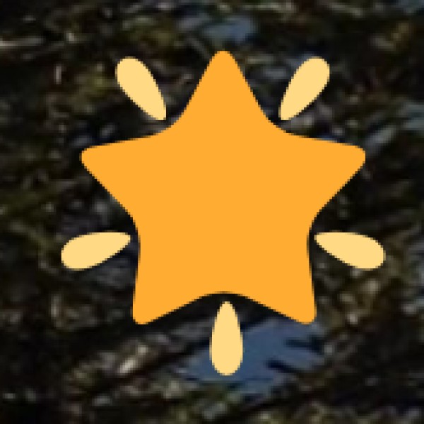 Spices & Ayurvedic Herbs