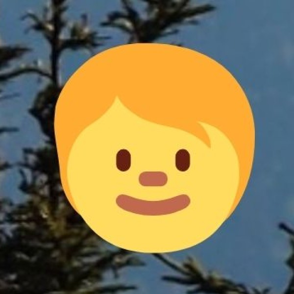 Food & Culinary Experiences