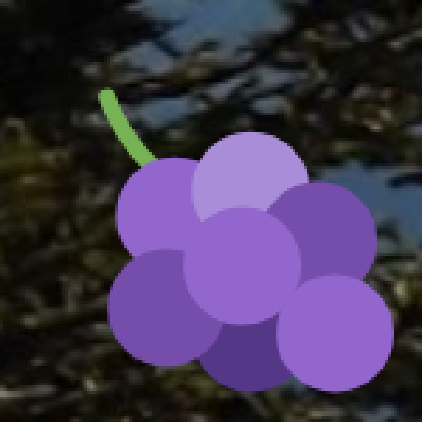 Non-Veg & Seafood Specialties