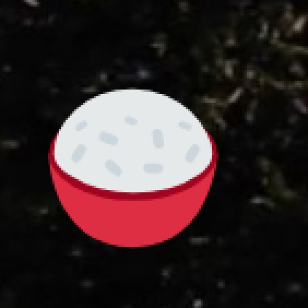 Unique Food Experiences in Udupi