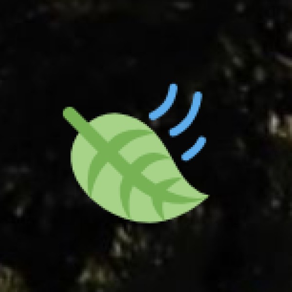 Ulava Charu (Horse Gram Soup)