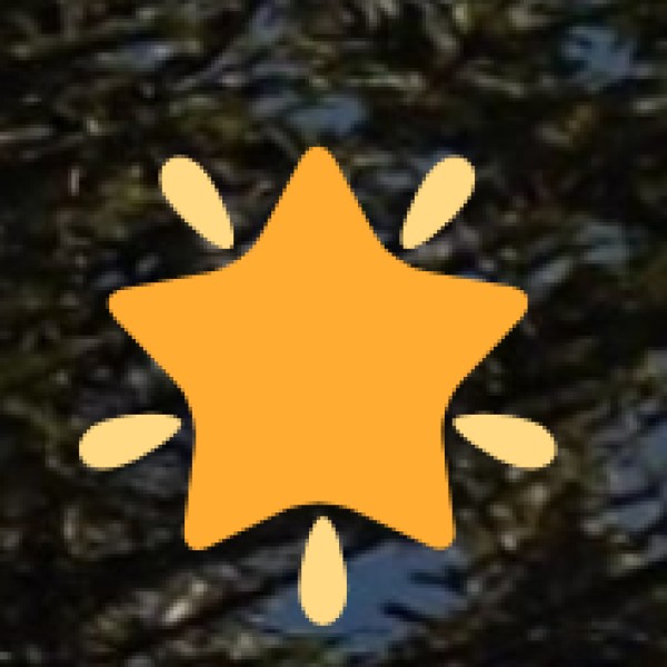 Tamil Nadu Handicrafts & Wooden Art